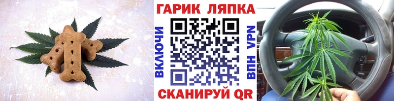 как найти наркотики  блэк спрут зеркало  Cannafood марихуана  Покровск 