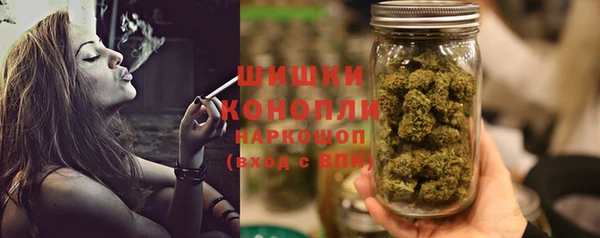 индика Беломорск