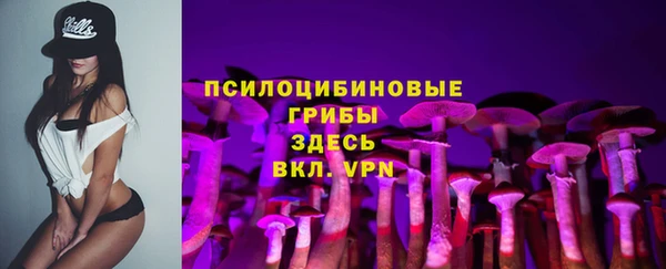 индика Беломорск