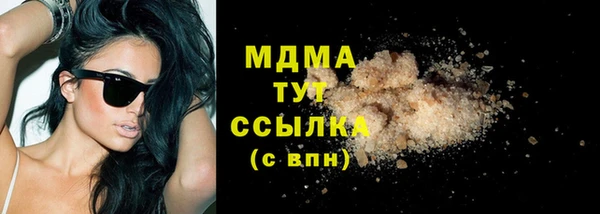 индика Беломорск