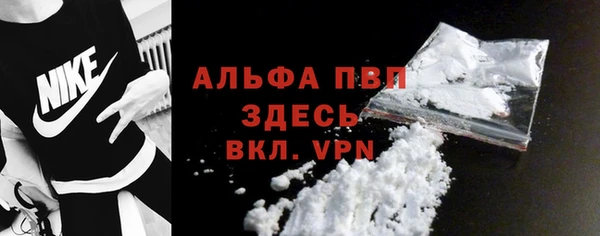 индика Беломорск