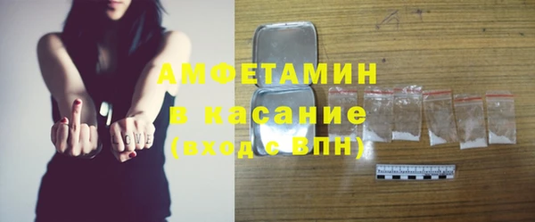 индика Беломорск