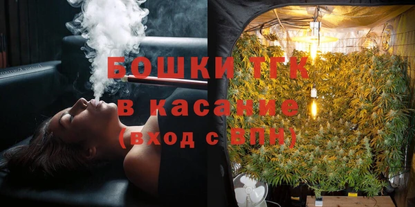 индика Беломорск