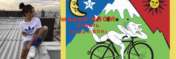 сатива Баксан